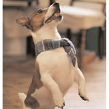 SIMPLE GIFTS FOR DOG LOVERS - The Knit Studio