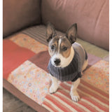 SIMPLE GIFTS FOR DOG LOVERS - The Knit Studio